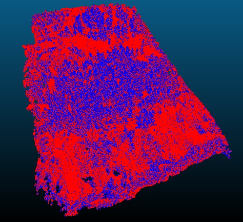 classified point cloud (scalar field).jpg