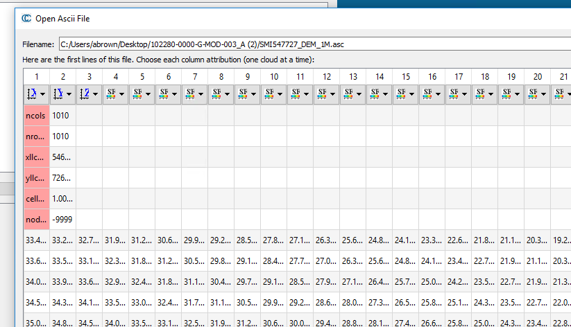 cloud compare ascii grid.PNG